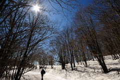 10) 18 Marzo 2012 - Il Parco dei Nebrodi - Portella Femmina Morta - Cesarò - Borgo S. Giuliano